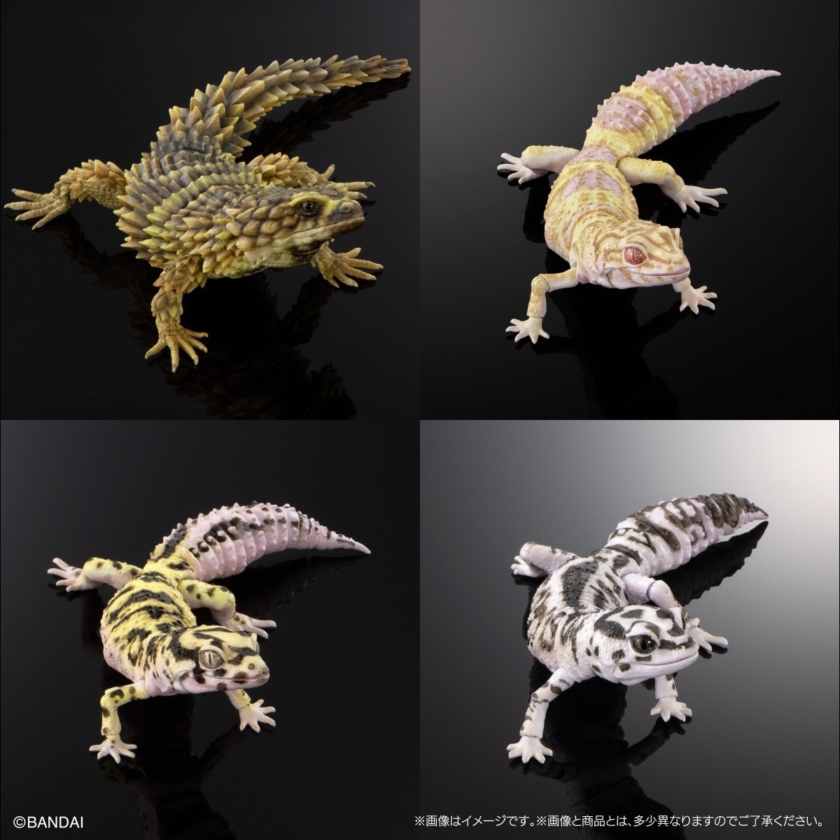 The Diversity of Life on Earth Advance Selected Edition 02 Gecko & Lizard Bandai