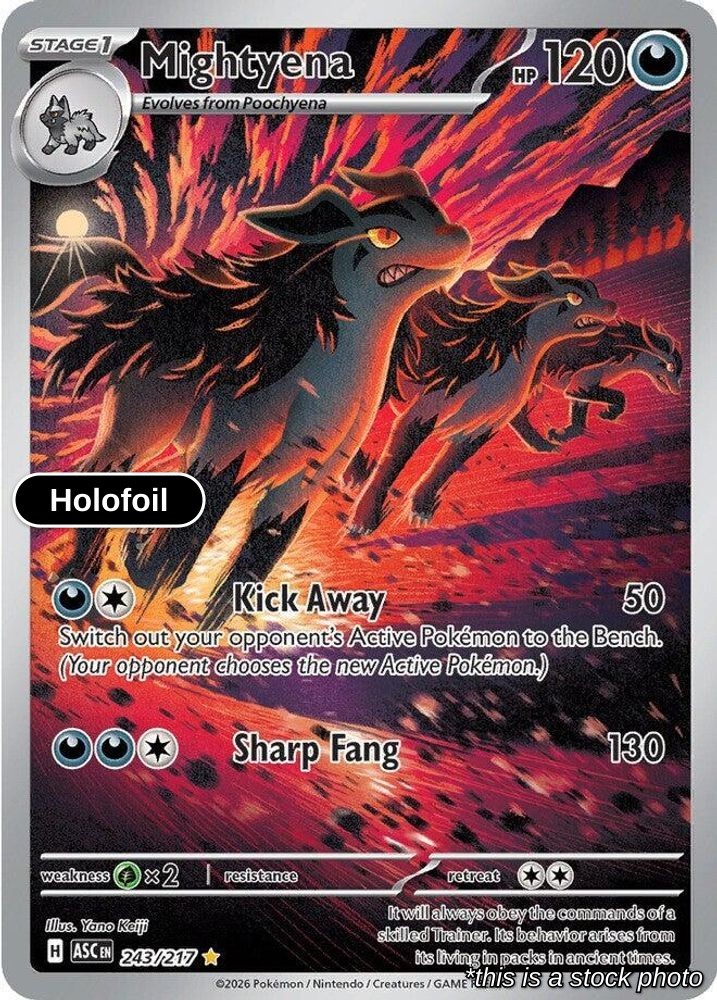 Mightyena Holofoil 243/217 ASC Pokemon NM