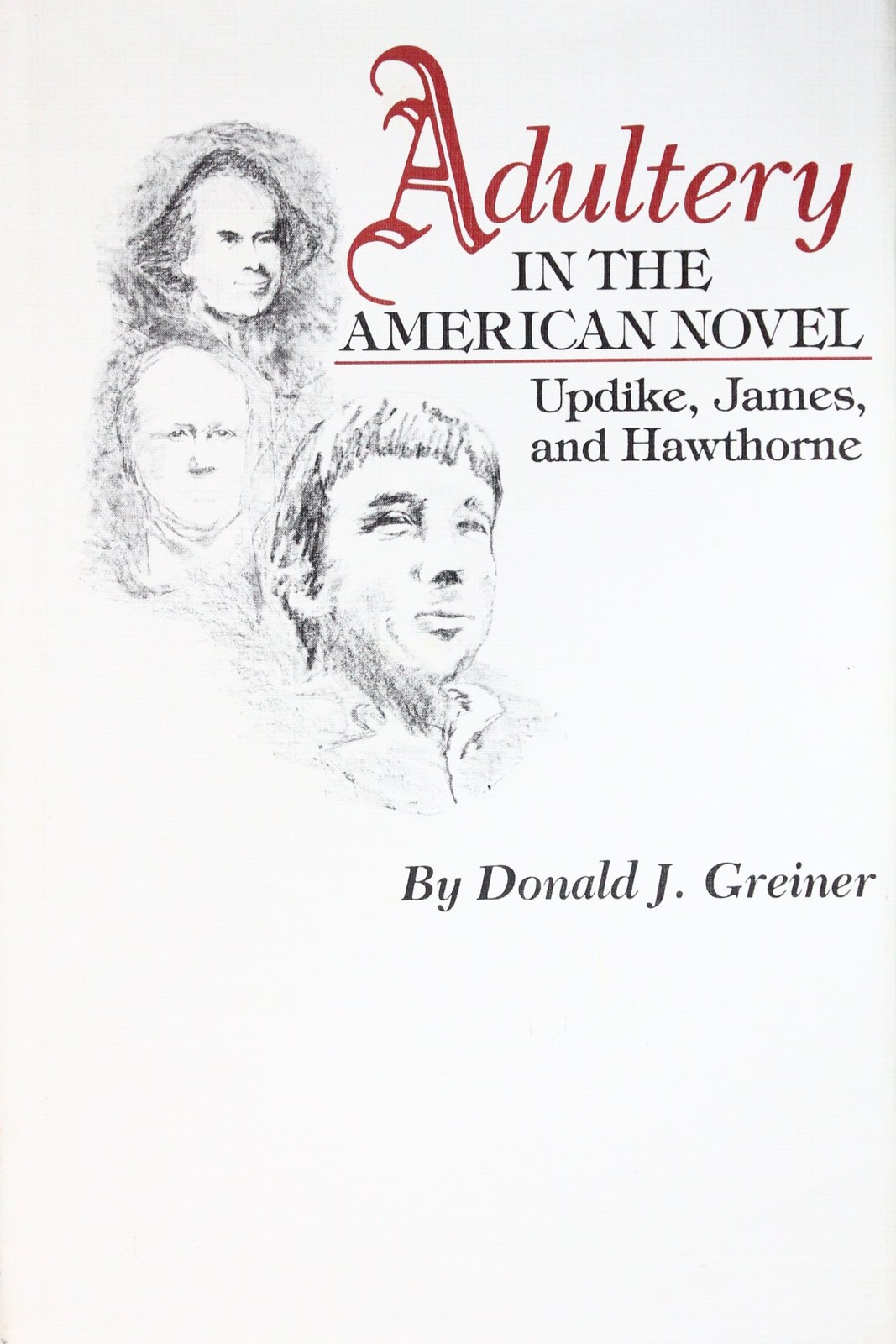 Adultery in the American Novel by Donald J. Greiner - Hardcover - GOOD