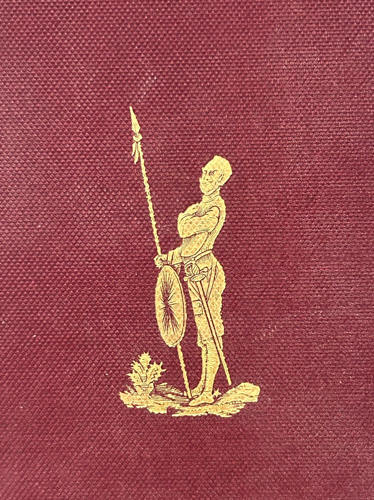 c1895- Adventures of Don Quixote- Cervantes- Victorian Binding- Illustrated