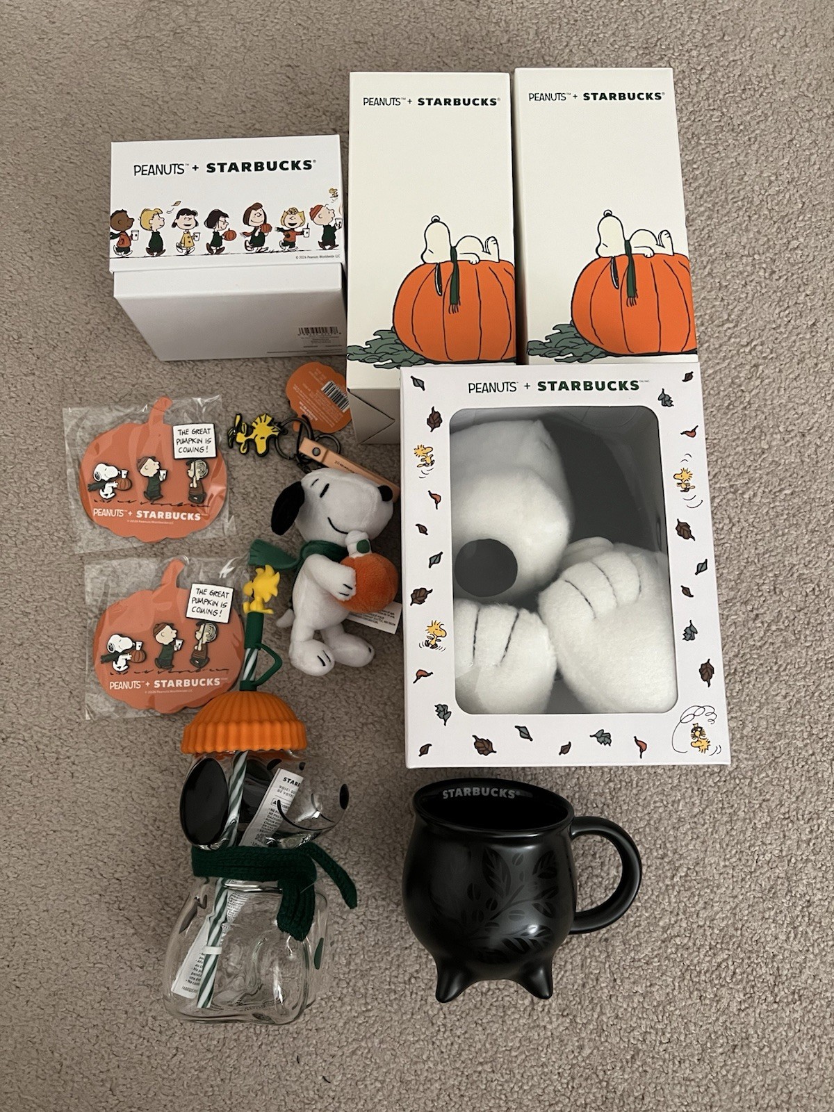 Starbucks x Peanuts Snoopy BIG Lot