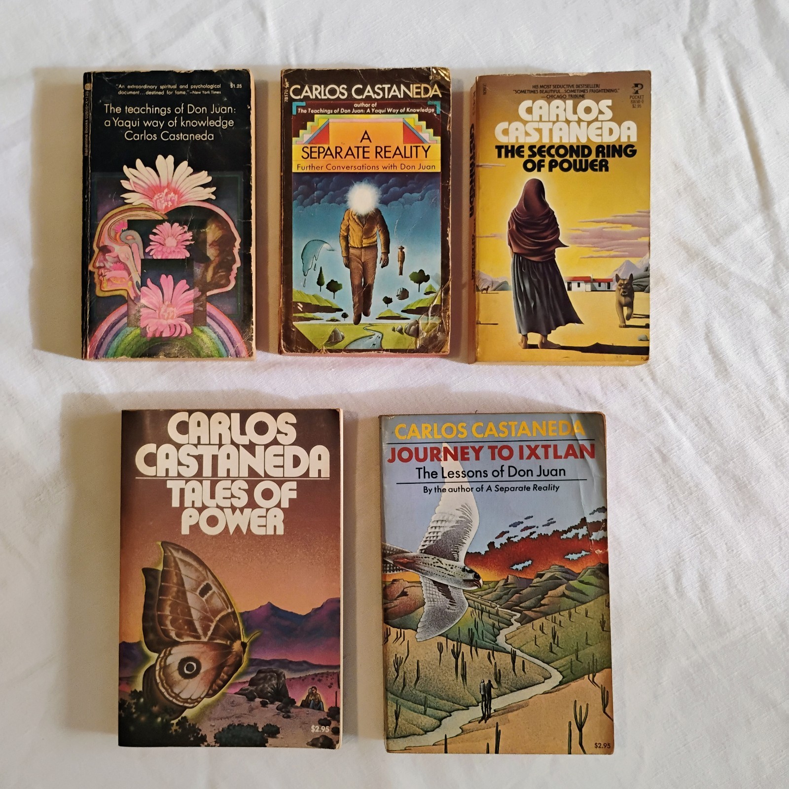LOT of 5 Vintage Carlos Castaneda Paperback Books Teachings Lessons of Don Juan