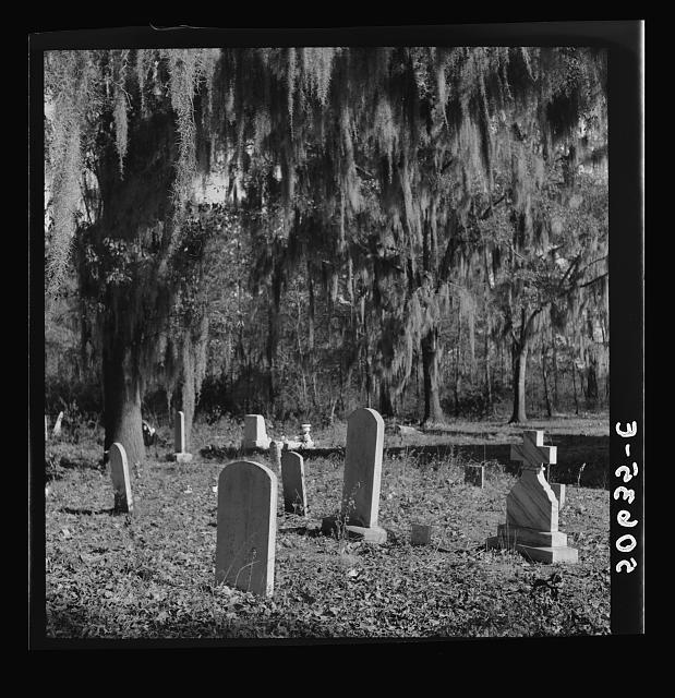 Summerville South Carolina 1938 Church Graveyard Cemetery Spanish Moss