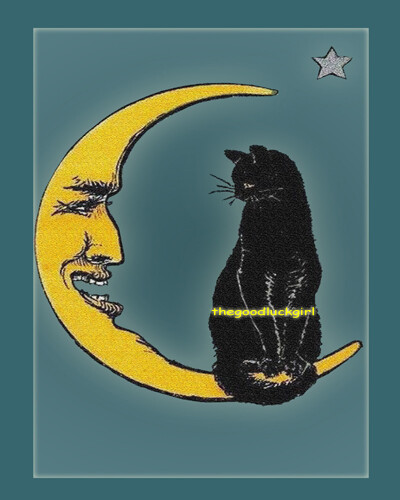 5x7 Vintage 1917 BLACK CAT SITTING ON MOON kitten Postcard art print picture