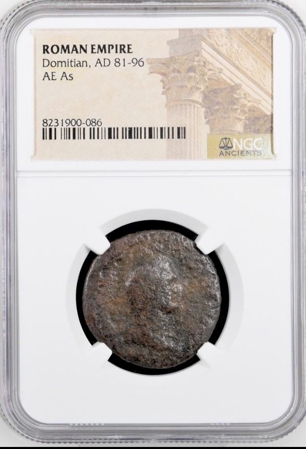 Emperor Domitian 81-96 AD AE As Genuine NGC Certified Ancient Roman Coin