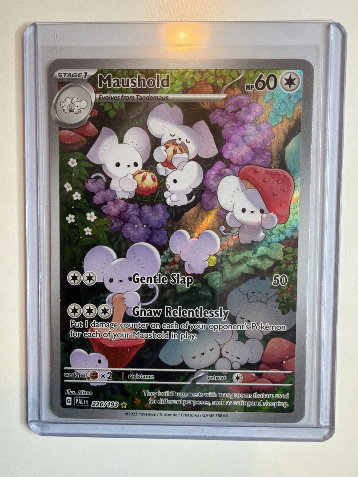 Maushold 226/193 Paldea Evolved Illustration Rare Holo Full Art English 2023 Maushold 226/193 Paldea Evolved Illustration Rare Holo Full Art English 2023