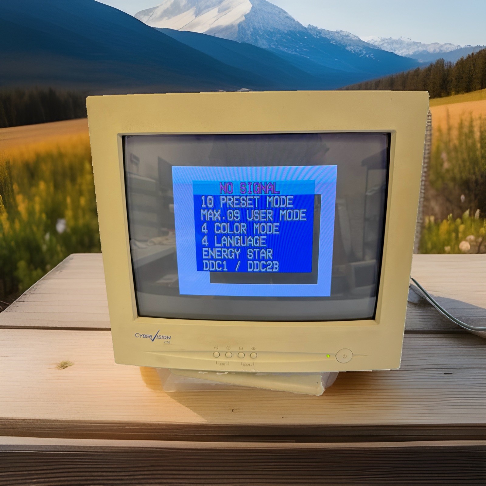 RARE Vintage CyberVision C-Series (C50 model) CRT Monitor 14 inch - Great RARE Vintage CyberVision C-Series (C50 model) CRT Monitor 14 inch - Great