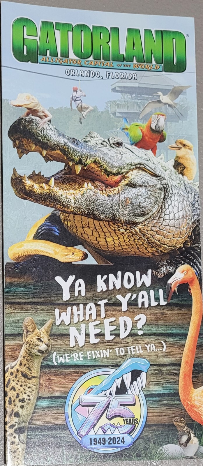 2024 75th Anniversary Gatorland Guide Map Zoo Orlando Kissimmee Florida Brochure 2024 75th Anniversary Gatorland Guide Map Zoo Orlando Kissimmee Florida Brochure