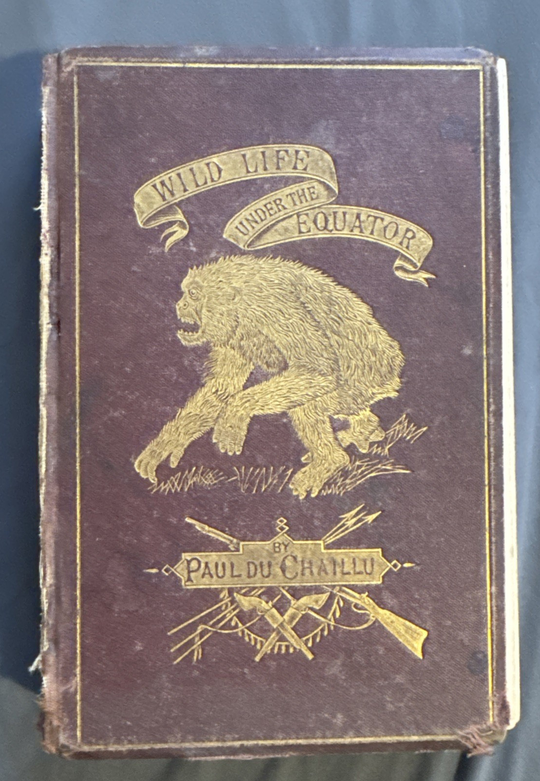 Antique Wild Life Under The Equator Book 1869 Du Chaillu Illustrated Animals Antique Wild Life Under The Equator Book 1869 Du Chaillu Illustrated Animals