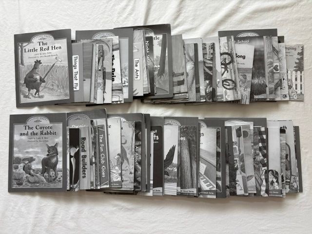 Brand New Fountas & Pinnell LLI Blue System Books 1-120 Set Levels B-N Readers