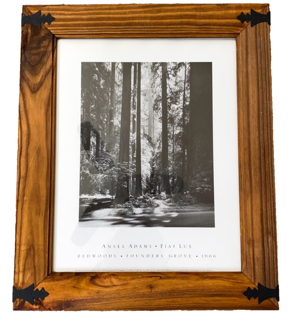 Ansel Adams Fiat Lux Redwoods Founders Grove 1966 Framed Print 17.5\