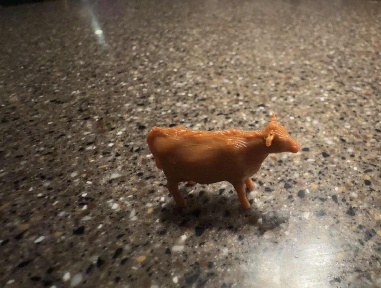 1/64th Calves, 20hd Brown/red Angus/jersey