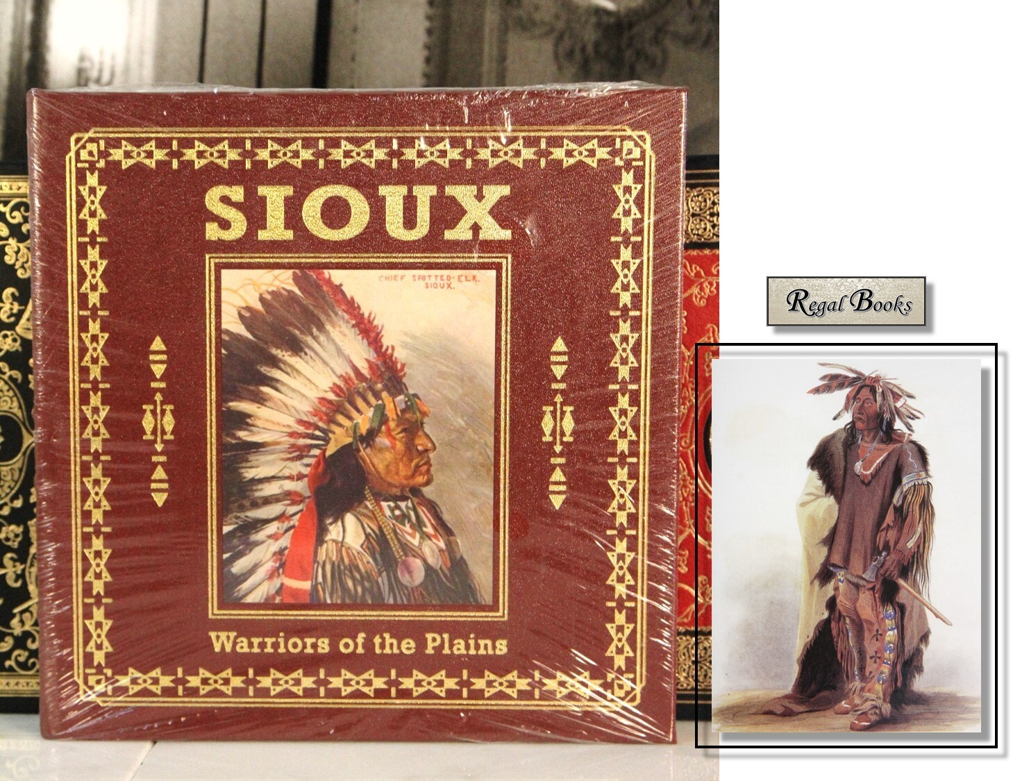 SIOUX WARRIORS OF THE PLAINS Michael Johnson - Easton Press - SEALED