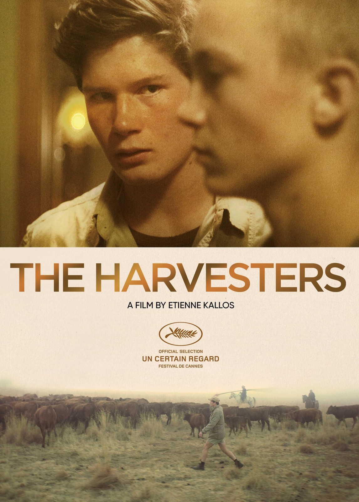 The Harvesters (DVD) Alex van Dyk Brent Vermeulen Erika Wessels Juliana Venter