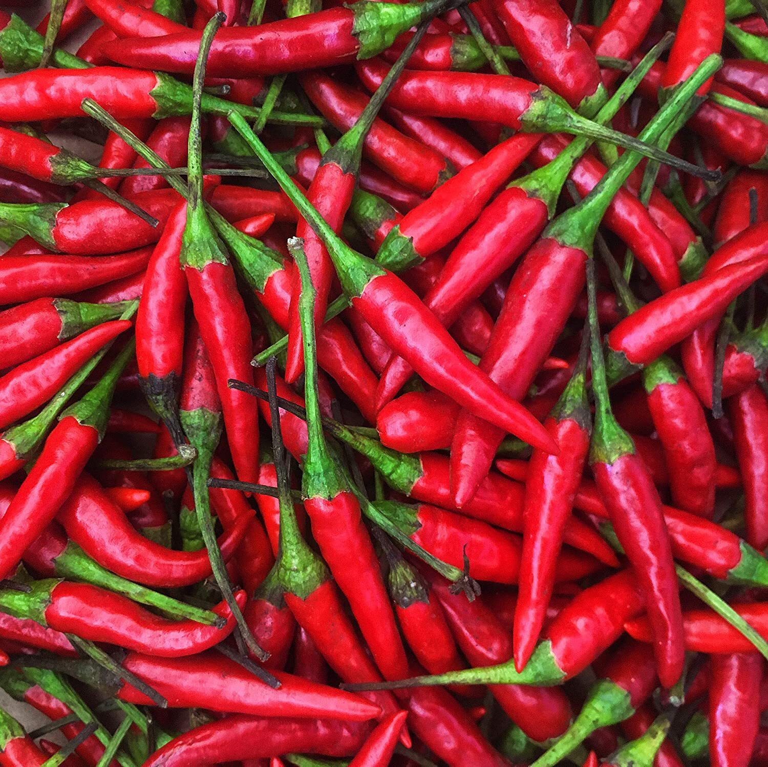 Thai Hot Pepper Seeds | Heirloom / Non-GMO |  | Seed Store | 1288