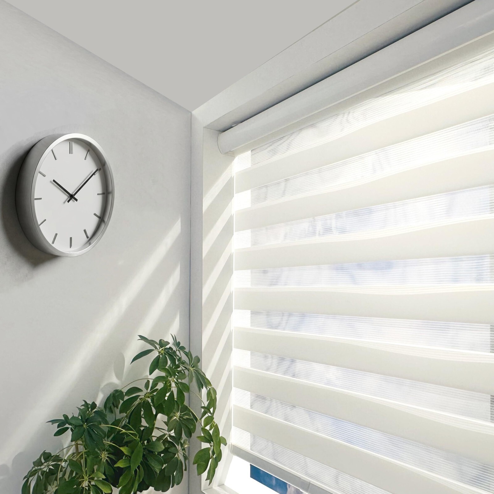 ShadesU Cordless Zebra Blinds 46\'x72\ ShadesU Cordless Zebra Blinds 46\'x72\