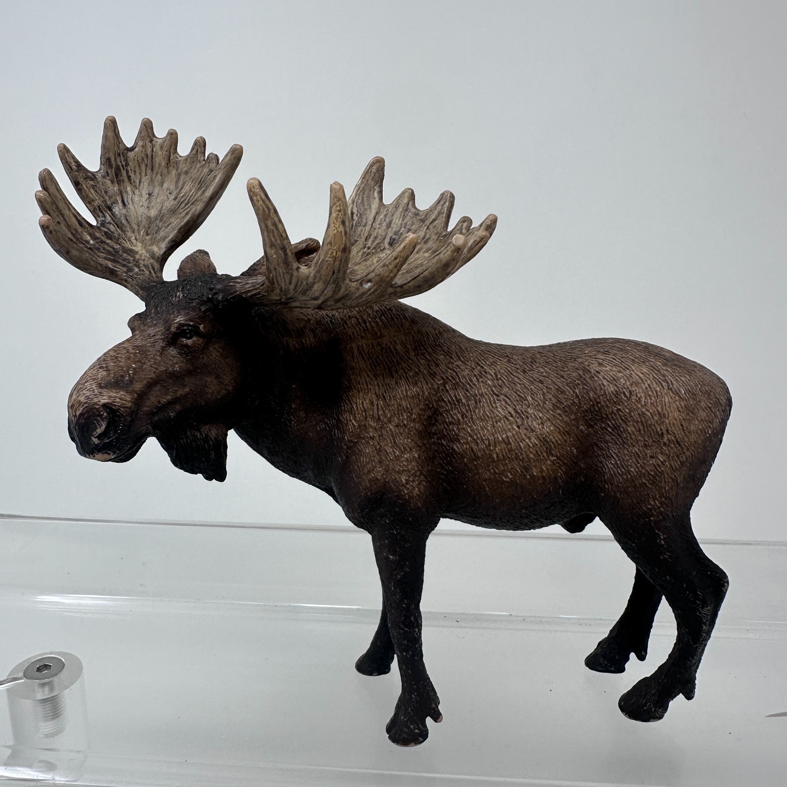 Schleich Moose Figure Brown Deer Wildlife Safari Zoo Animal Figurine Toy 5\