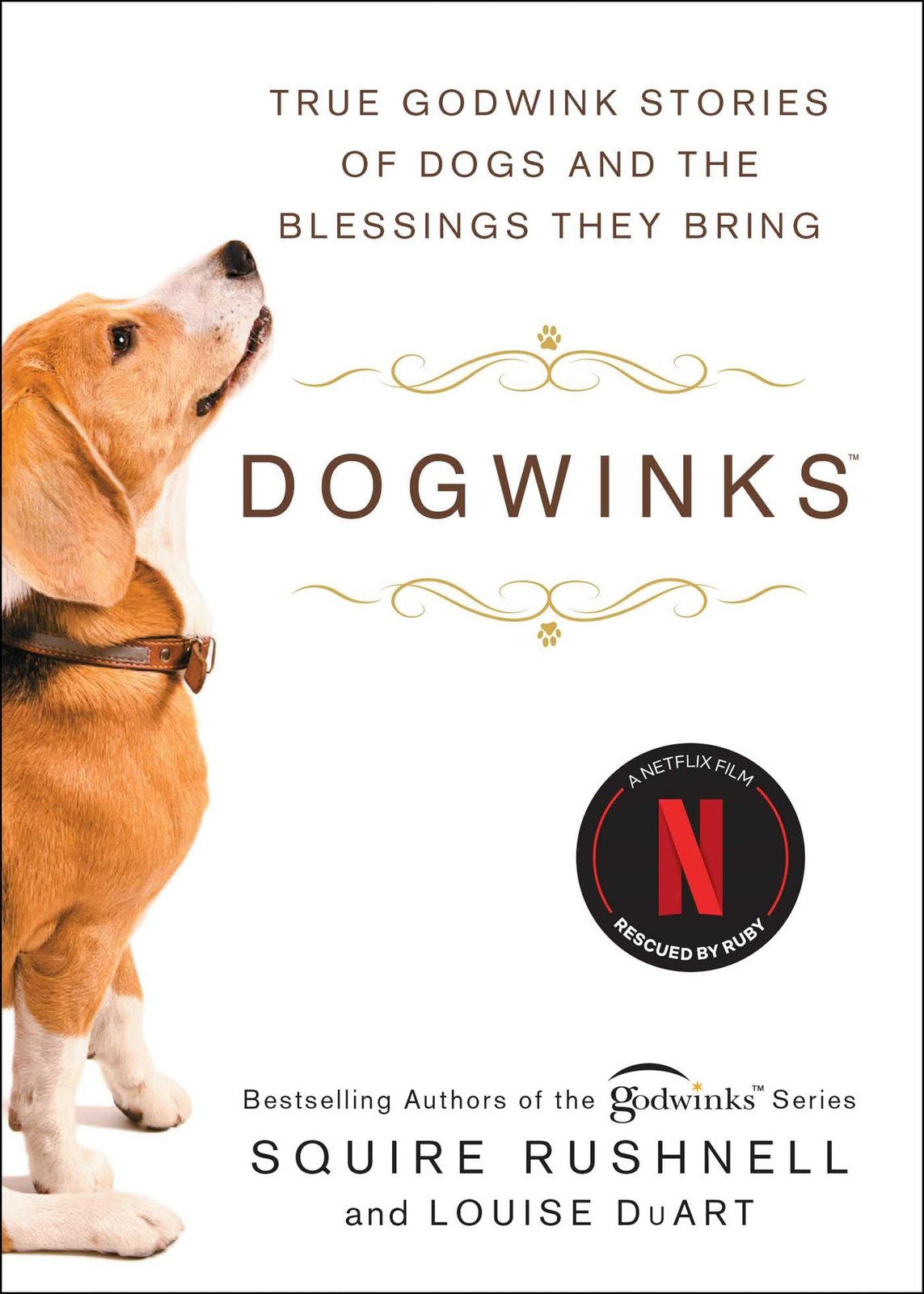 Dogwinks: True Godwink Stories of Dogs and the Blessings They ...