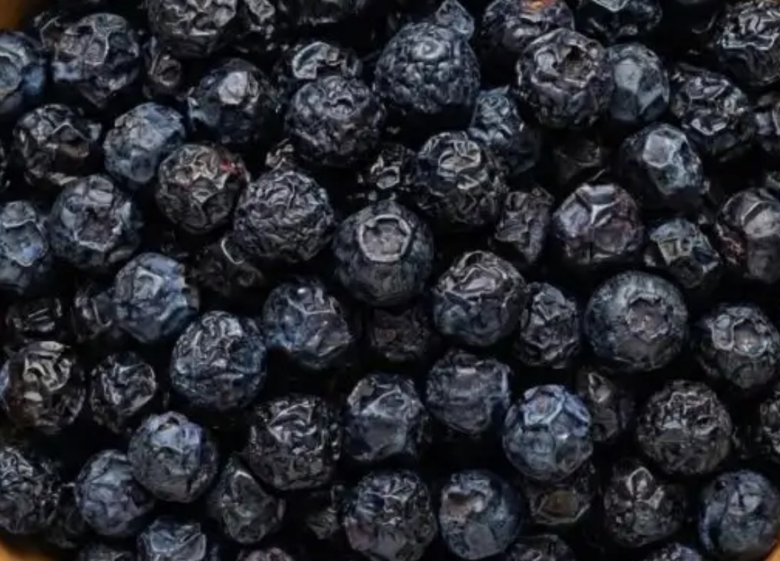 DRIED WILD BlueBerries SWEET NATURALLY-BULK BAG PRICE LIMITED PICK YOUR BAG NOW