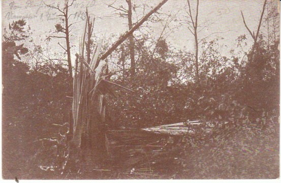 Plochingen severe weather damage 1.6.1913 forest gl1914 26.959