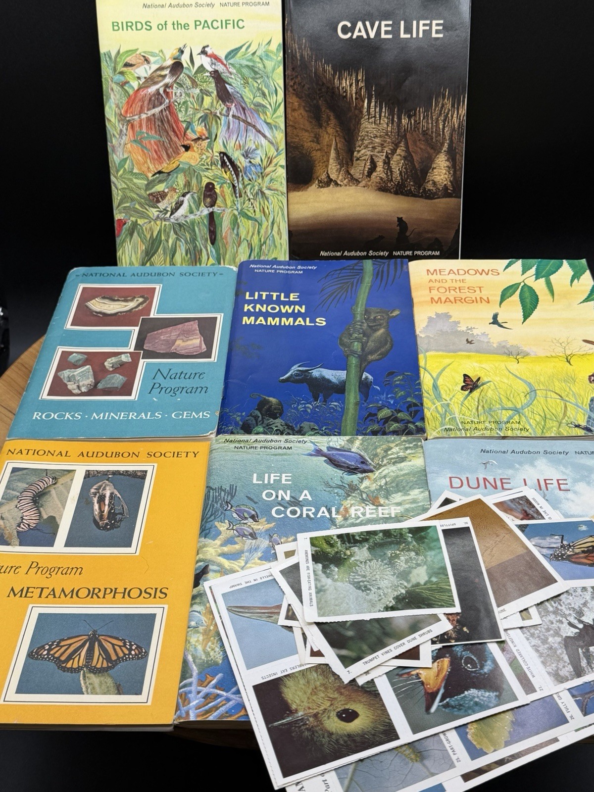 VTG 1965 National Audubon Society Nature Program Box Lot of 8 Books w Stickers VTG 1965 National Audubon Society Nature Program Box Lot of 8 Books w Stickers