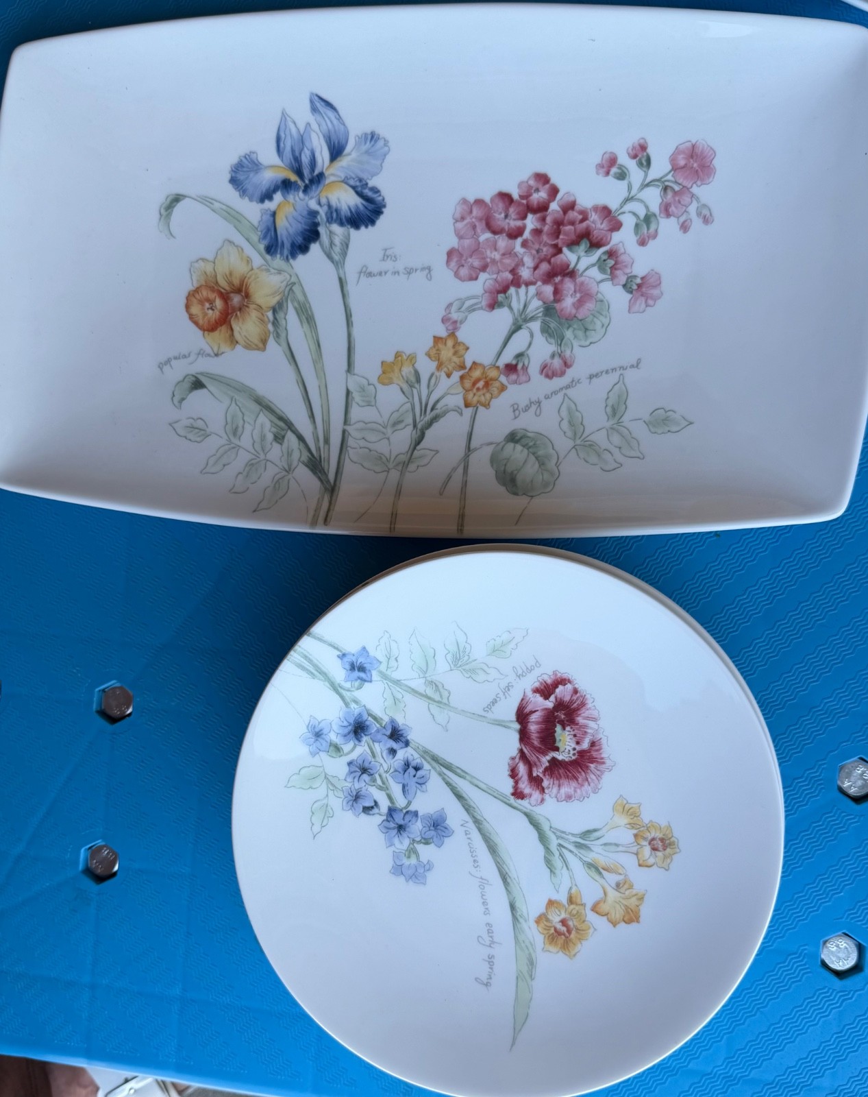 8 pc Lenox Artist Sketchbook Floral Dinnerware  7 Plates 9\