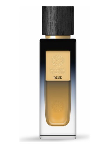 The Woods Collection Unisex Dusk EDP 3.3 oz Fragrances 3760294350669