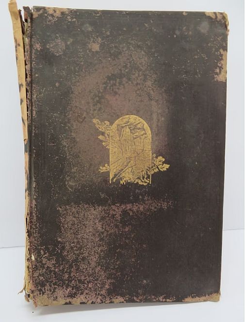 1901 USGS 22nd Annual Report Part II Ore Deposit Color Fold Out Maps Mining Book