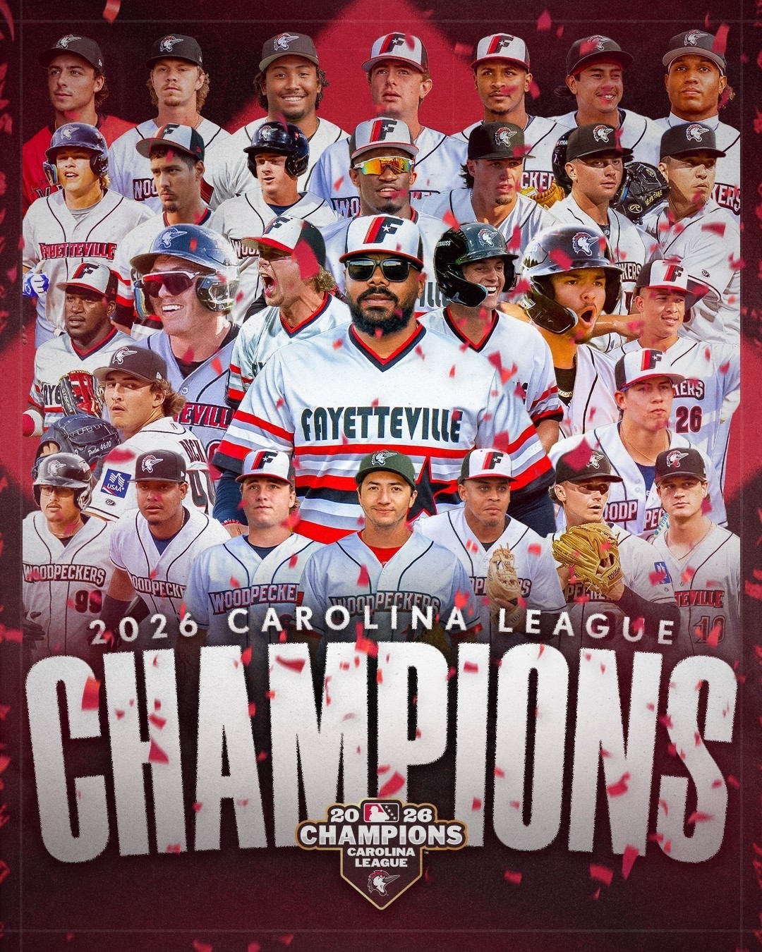 Fayetteville Woodpeckers 2026 Carolina League Champions Baseball Team Poster