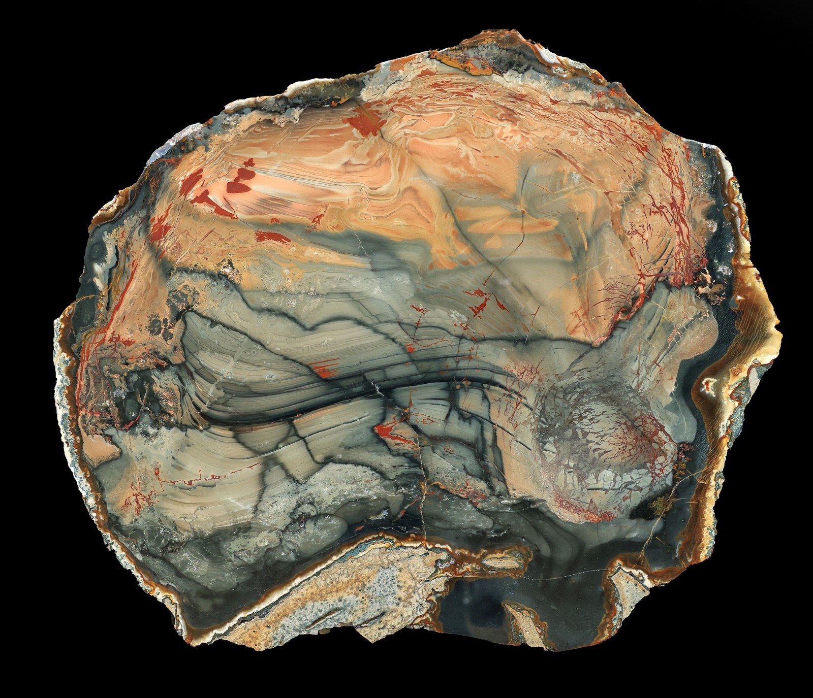 Grade AAA Multi Color XXL Blue Mountain Picture Jasper Specimen Polished Grade AAA Multi Color XXL Blue Mountain Picture Jasper Specimen Polished