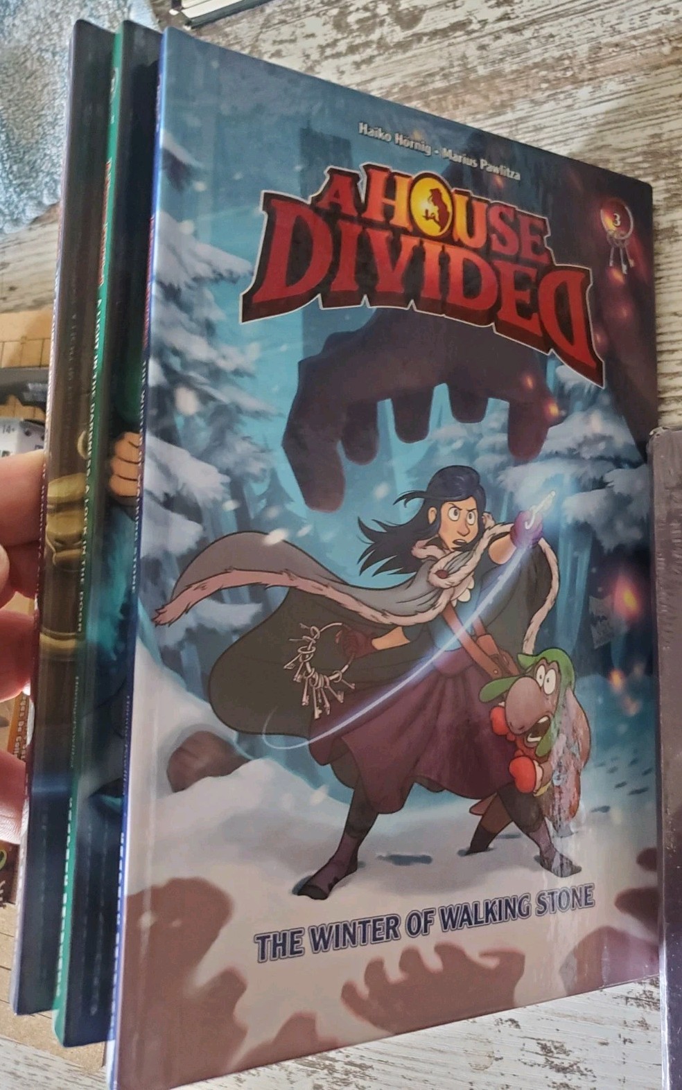A House Divided Book Lot of 3 Books 1-3 by Haiko Hörnig