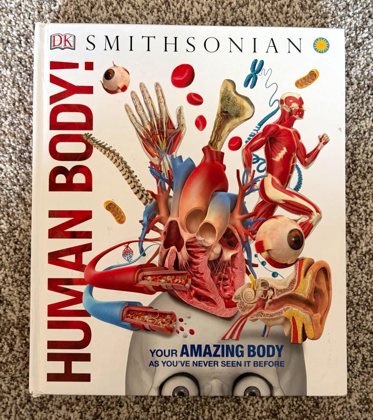 DK Smithsonian Human Body Hardcover Illustrated Anatomy Science Ages 9-12 2011 DK Smithsonian Human Body Hardcover Illustrated Anatomy Science Ages 9-12 2011