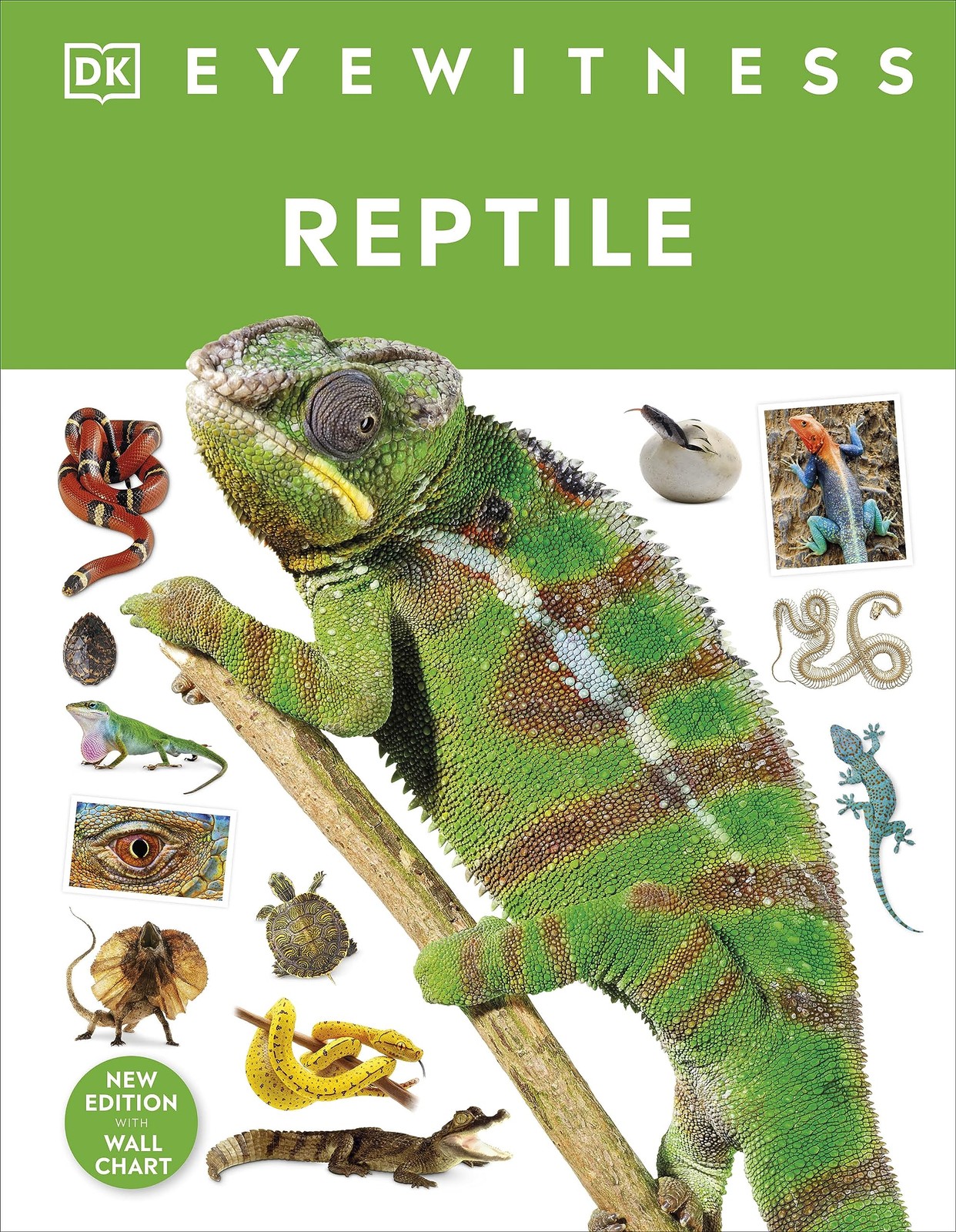 			Reptile (DK Eyewitness) by DK  New 9780241631676 Fast ..		