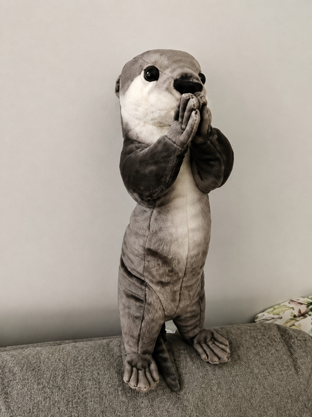 Blessing Otter Plush Toy 12\