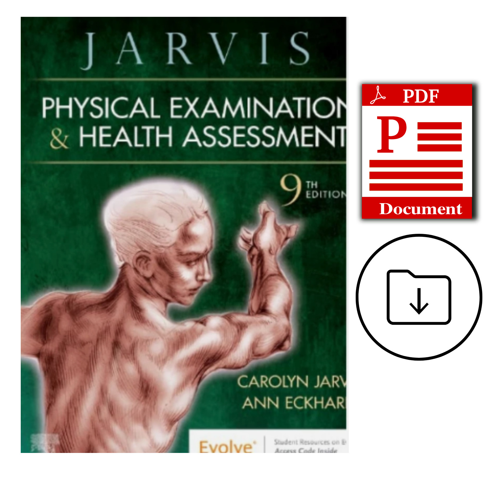 Physical Examination and Health Assessment 9th Edition Physical Examination and Health Assessment 9th Edition