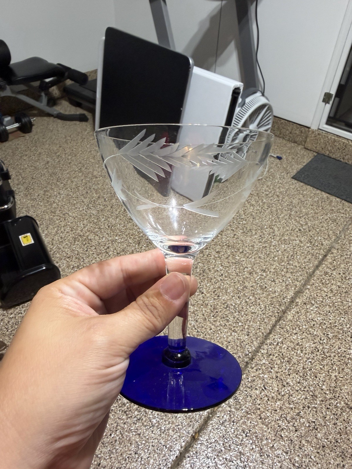 Vintage Westin Glass WGL1/Louie Glasses