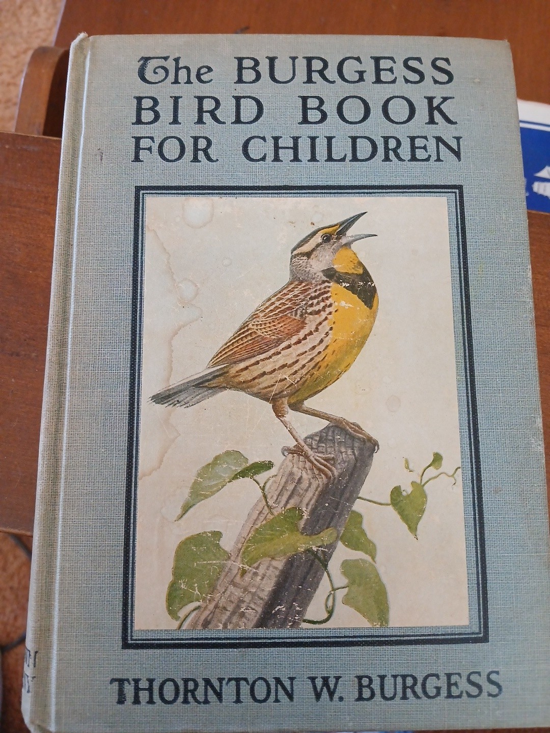 The Thorton Burgess Bird Book for Children, Hardcover, 353 Pages, 1919 1st ed The Thorton Burgess Bird Book for Children, Hardcover, 353 Pages, 1919 1st ed