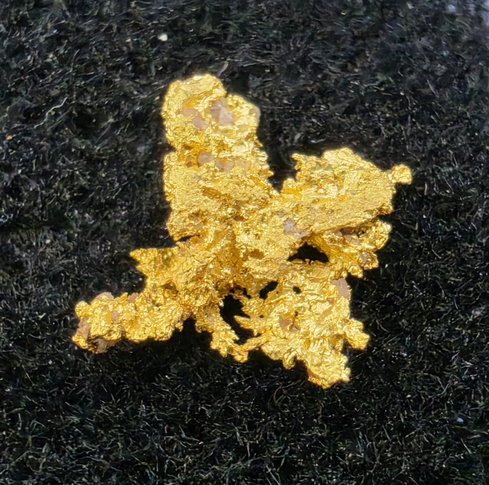 . 542g Wild Eagles Nest Mine Placer Co CA Crystallized Gold Specimen