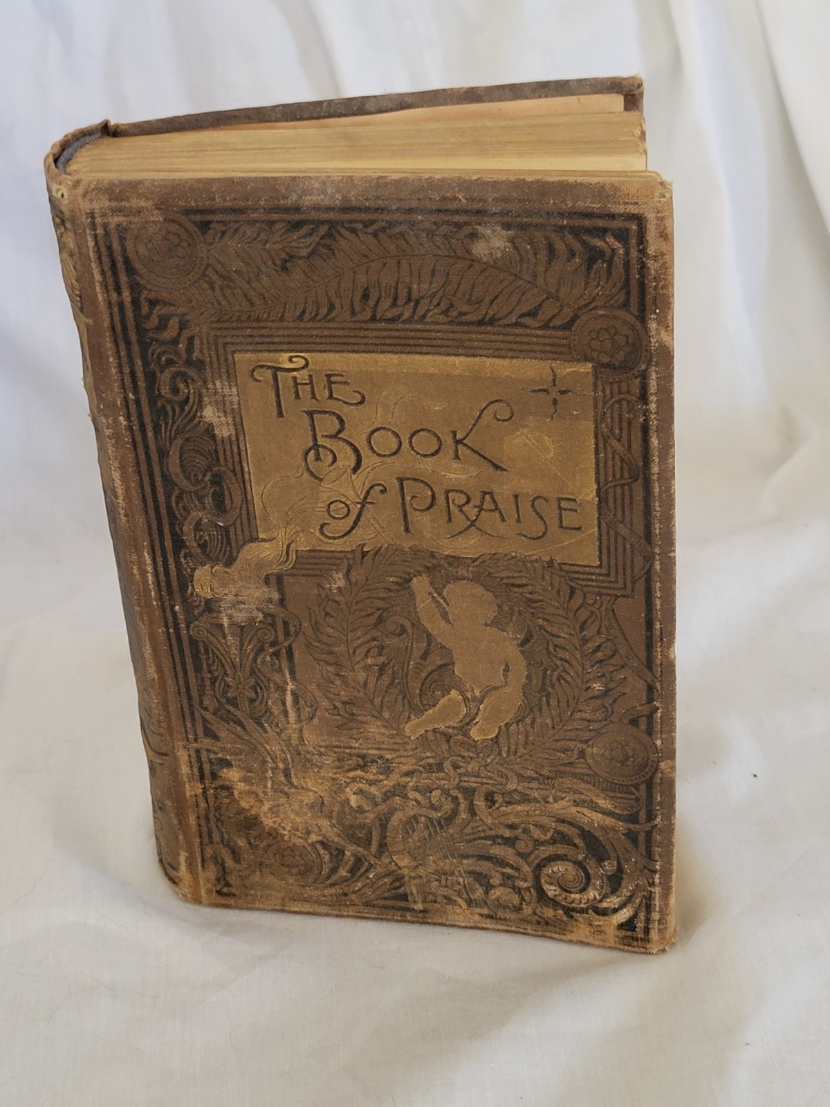 Antq Hard Cover Book THE BOOK OF PRAISE 1886 POETRY