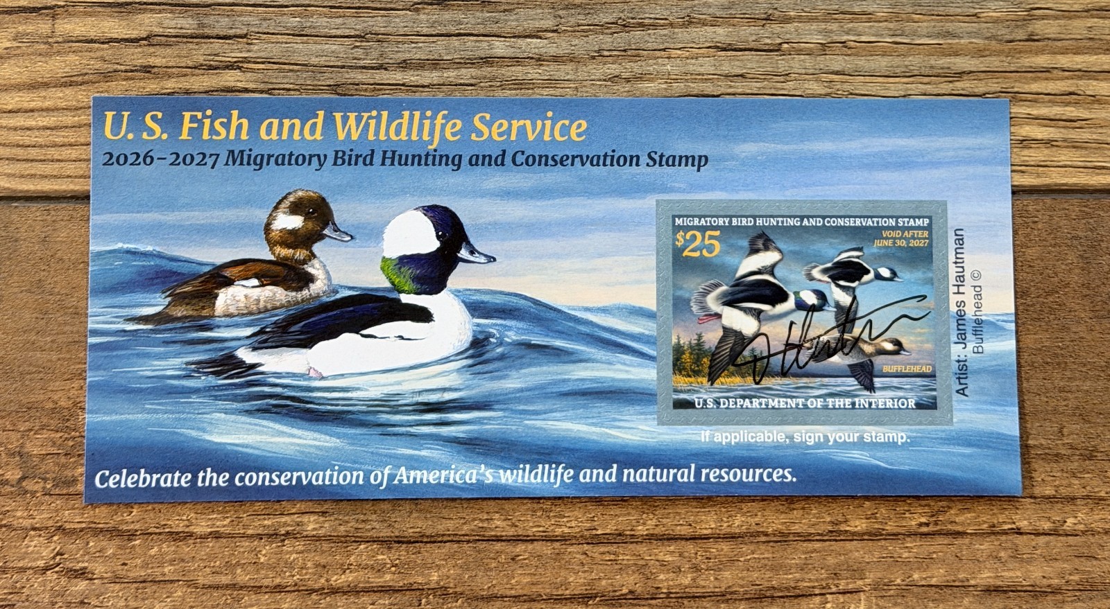 WTDstamps - #RW93A 2026 - 2027 - US Federal Duck Stamp **ARTIST SIGNED**