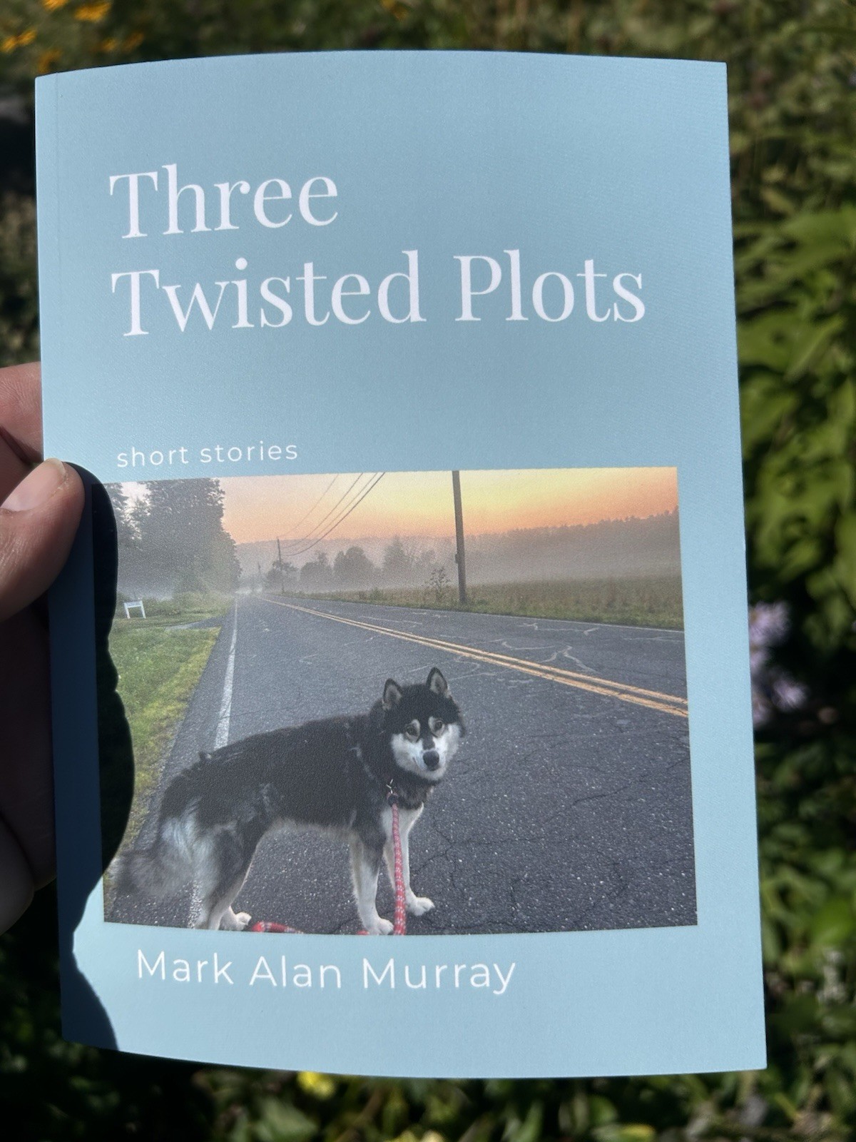 Three Twisted Plots Short Stories By Mark Alan Murray SIGNED