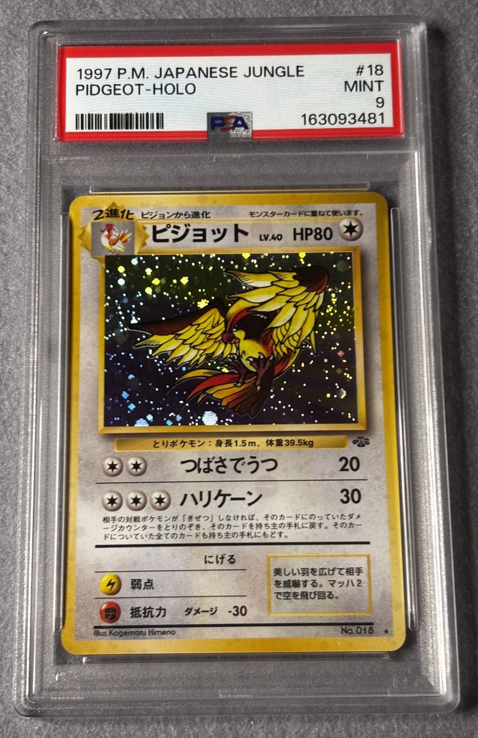 1997 Pokemon Japanese Jungle Pidgeot Holo #18 PSA 9 Mint New Cert 1997 Pokemon Japanese Jungle Pidgeot Holo #18 PSA 9 Mint New Cert