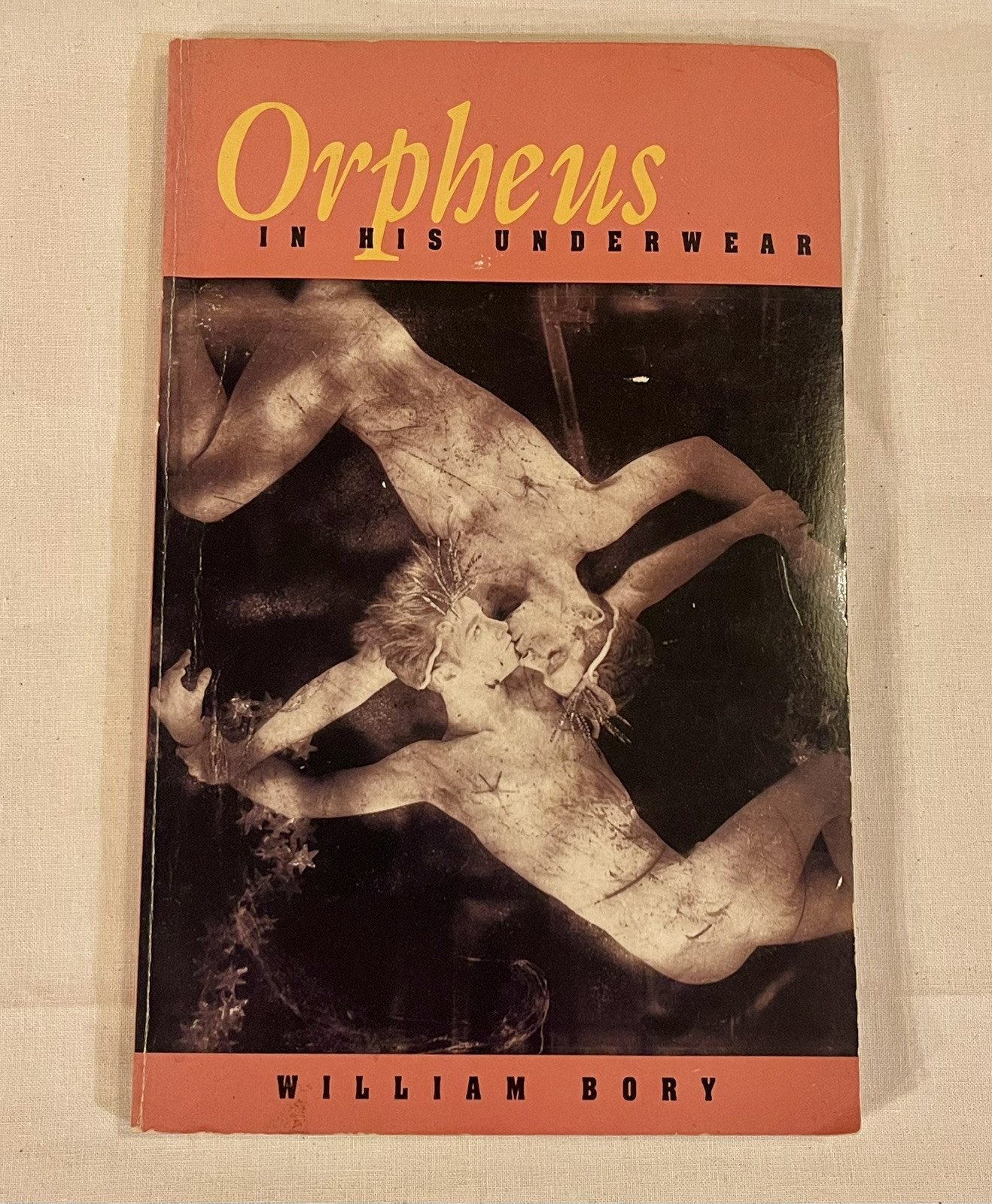 Orpheus In His Underwear William Bory Paperback Poetry Book Rare Gay 90s LGBTQ 