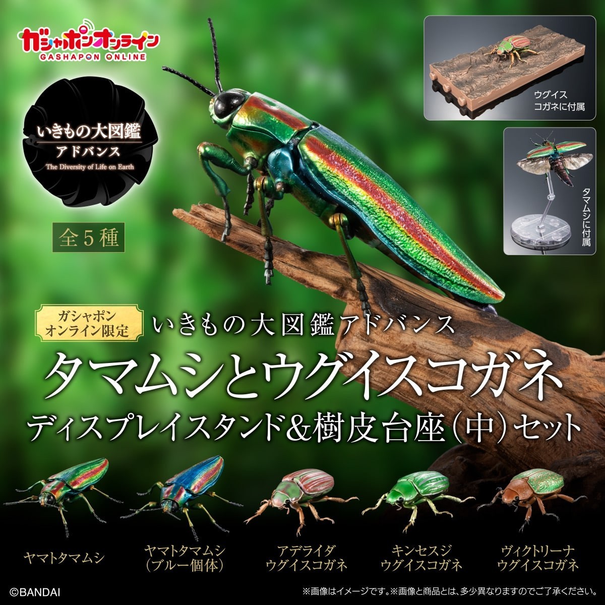 PSL The Diversity of Life on Earth Advance Jewel Beetle & Scarab w/ Stand Bandai