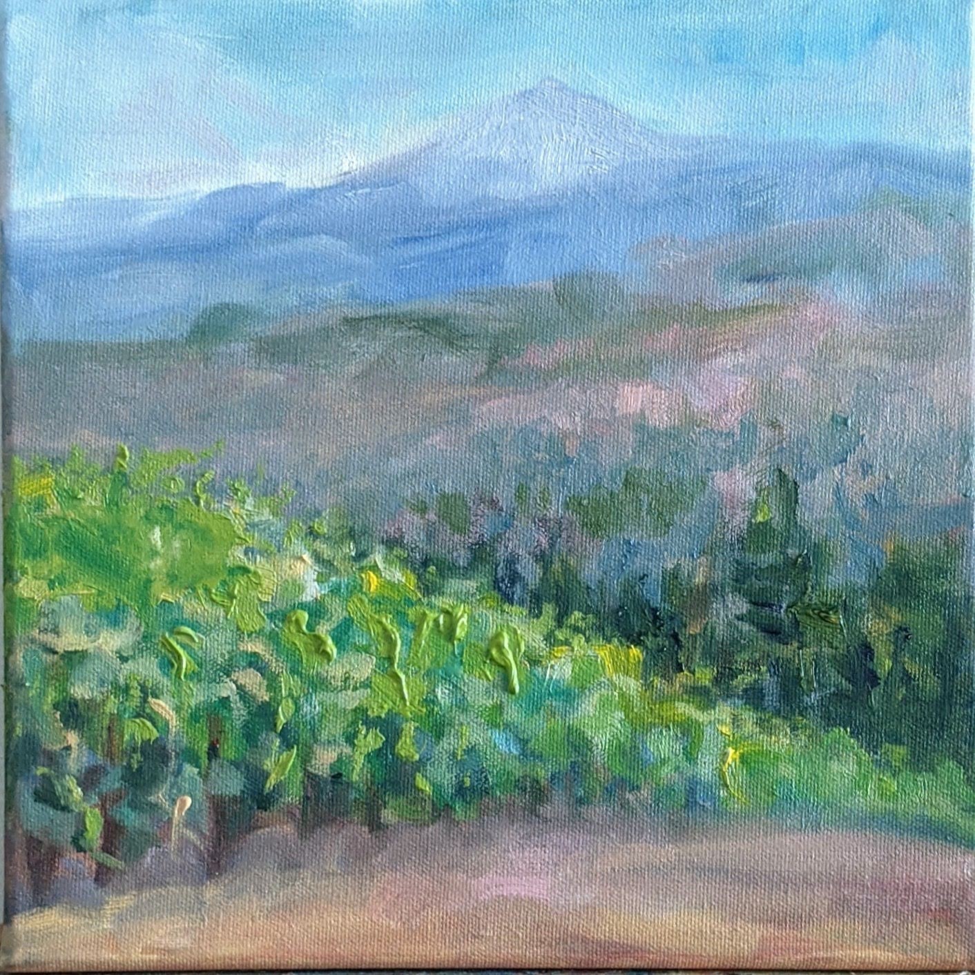 Silvia TRUJILLO Oregon vineyard wine country Impasto oil  plein air landscape ❤️