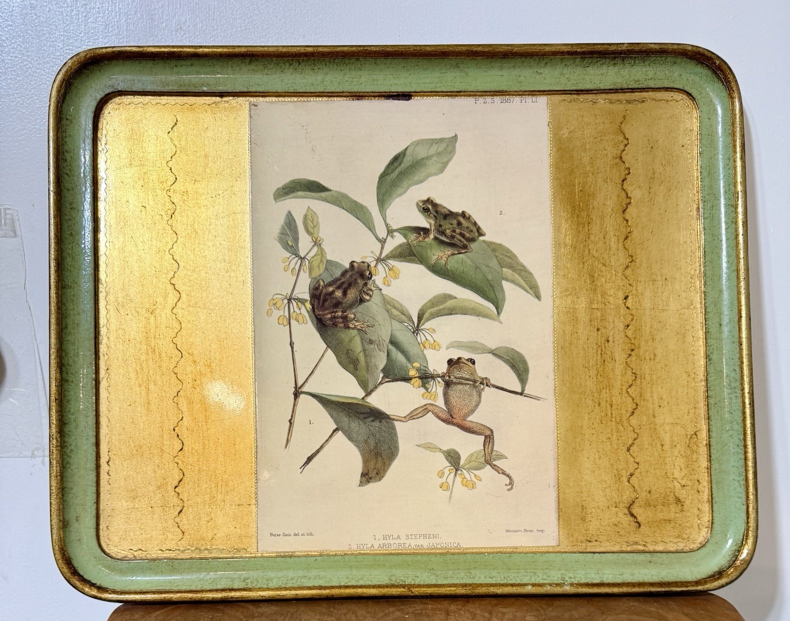 Rare Vintage VIETRI  “Frogs In The Tree” Tray Made In Italy 19”x15”