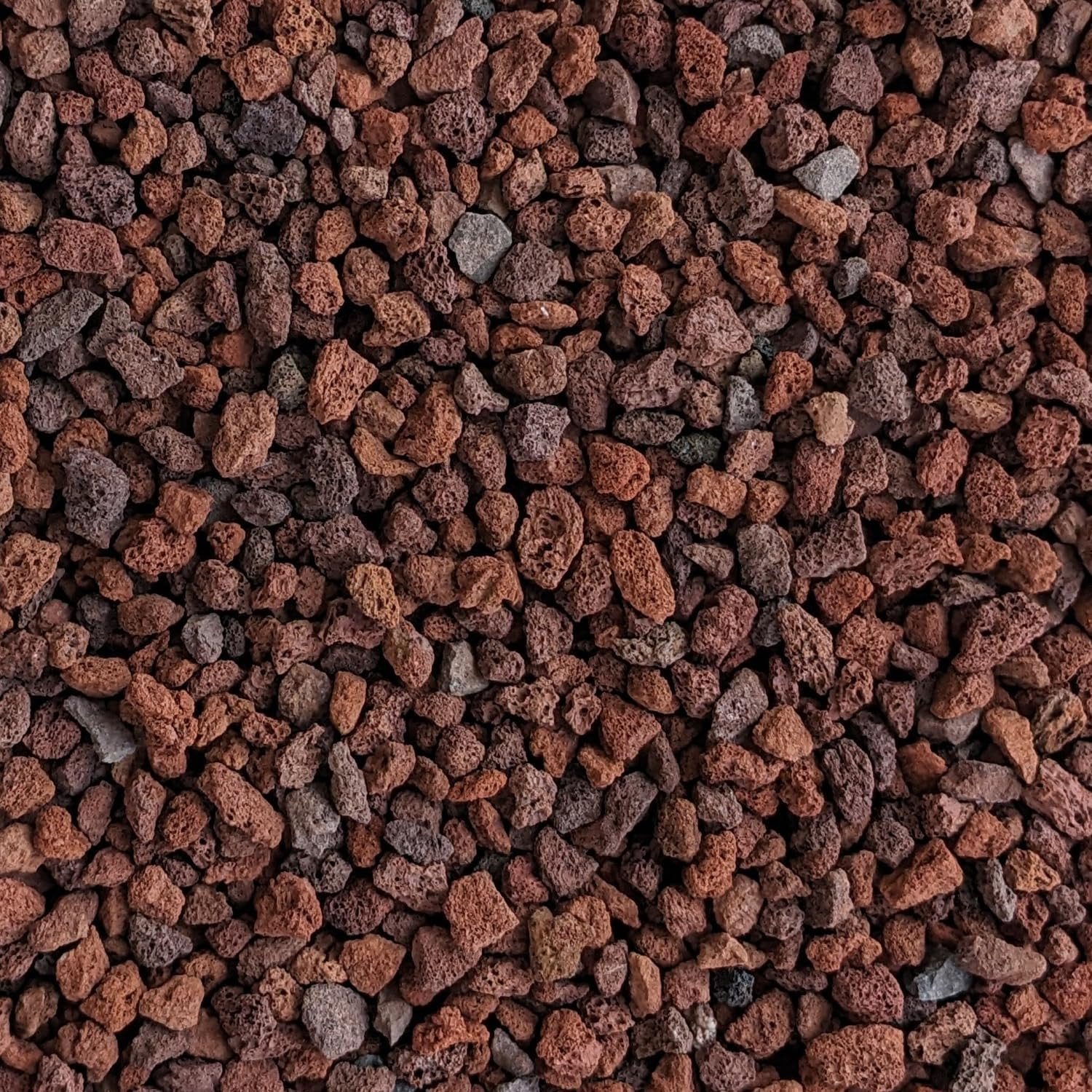 Red Lava Rocks for Plants Natural Horticultural Volcanic Rock (1/4\