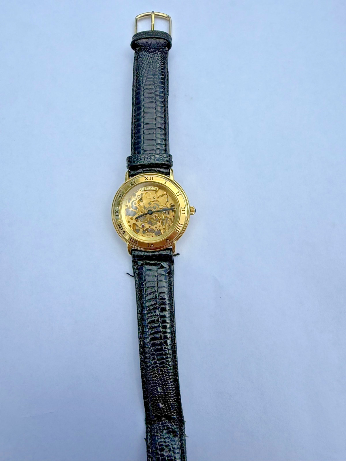 Citizen Skeleton 8234-824121k Gold with black leather