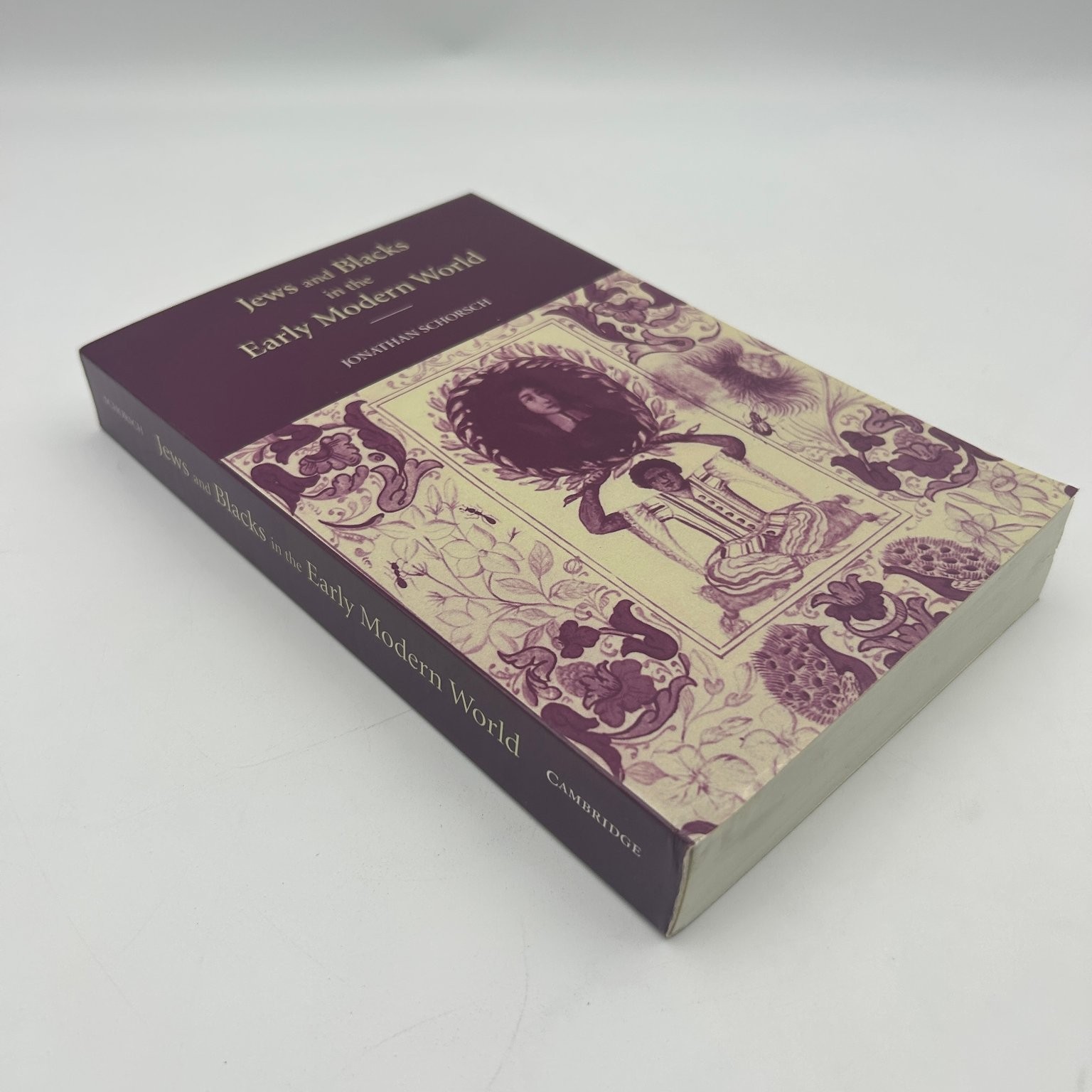 Jews and Blacks Early Modern World Jonathan Schorsch 2009 First Paperback