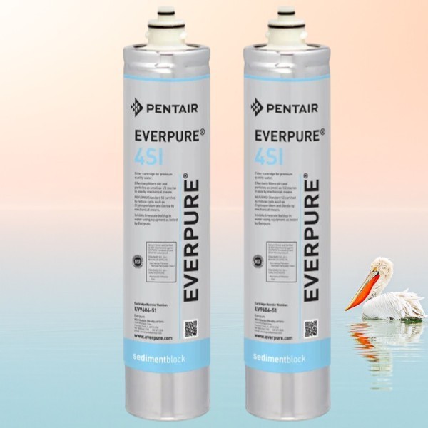 Everpure EV9606-51 4SI Filter Cartridge 0.5 Micron 2 GPM – 2 Pack Genuine